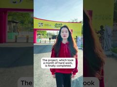 Sprawa projektu Shunde Bruce Lee