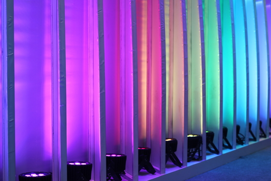 Rohs LED Flat Par Light RGB 12 * 3W Pełnokolorowe mycie Led Par Oświetlenie sceniczne na wesele