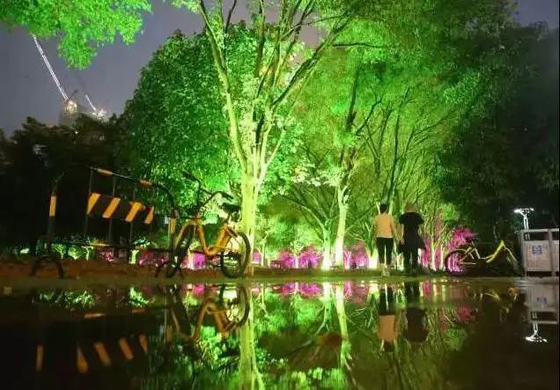 DMX512 RGBW 36W Drzewo LED Światło powodziowe LED Lampa ogrodowa LED Do projekcji krajobrazu