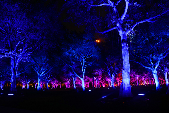 DMX512 RGBW 36W Drzewo LED Światło powodziowe LED Lampa ogrodowa LED Do projekcji krajobrazu