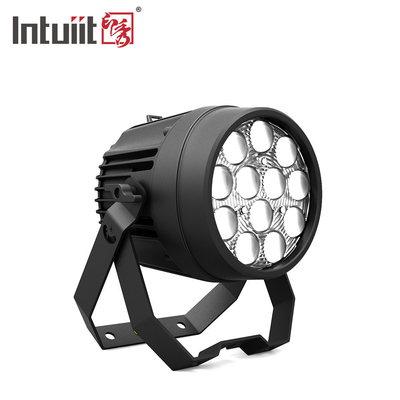 12x10W RGBW 4in1 Zewnętrzny IP65 wodoodporny Ciężki Odlewany Aluminiowy Lampa Led Par