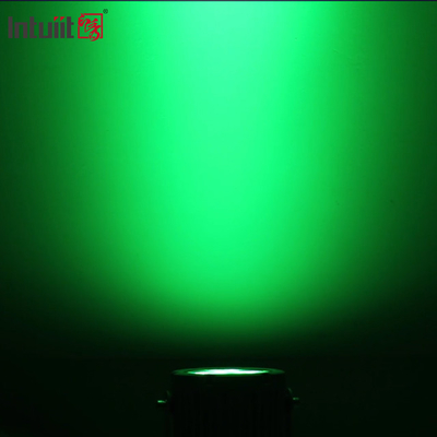Outdoor Ip65 Dmx 60w Rgbw Led Krajobrazowe oświetlenie punktowe do ogrodu