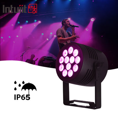 IP65 LED zewnętrzny 12x20w RGBWA-UV 6in1 Wydarzenie DJ Wash DMX 512 wodoodporne LED Par Light