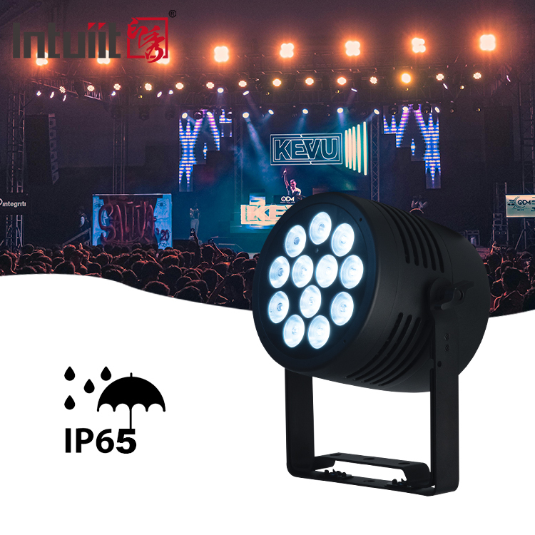 12x20W LED Par Light IP65 wodoodporny RGBWA-UV 6IN1 DMX512 Oświetlenie sceniczne