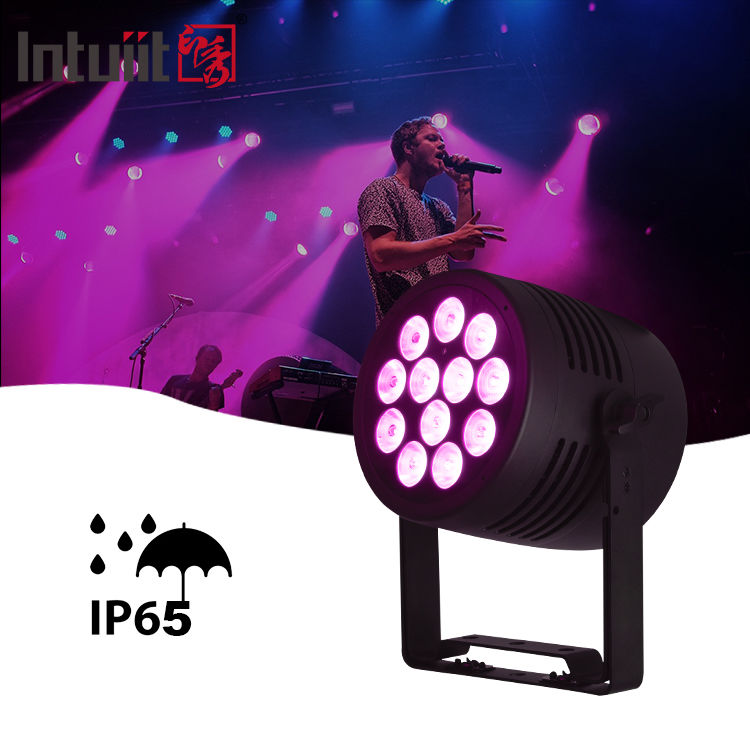 IP65 LED zewnętrzny 12x20w RGBWA-UV 6in1 Wydarzenie DJ Wash DMX 512 wodoodporne LED Par Light