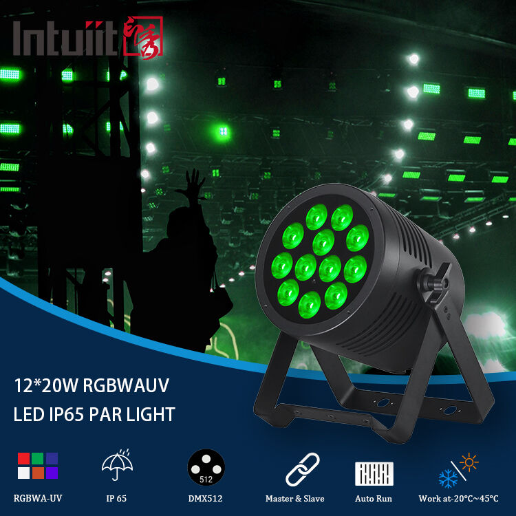 Światło zewnętrzne LED Par IP65 wodoodporne LED Par 12x20w RGBWA UV 6IN1 DMX