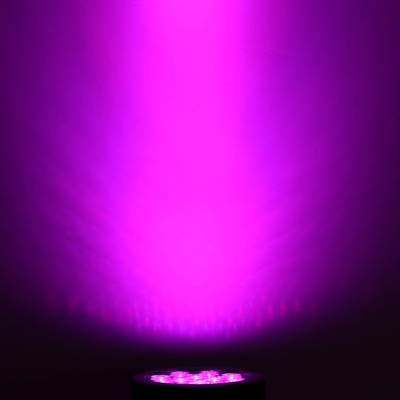 12 * 10 W RGBW 4 w 1 IP65 LED Par Can Stage Event Show Lighting Outdoor LED Par