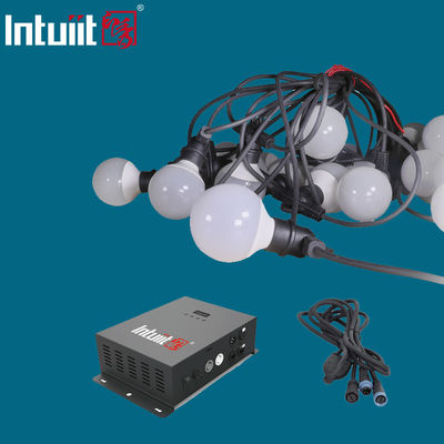 Żarówka ABS Multi Color Globe String Lights AC 100V na drzewo imprezowe